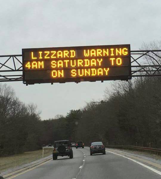 It's raining cats and dogs, with a chance of lizzards this evening...