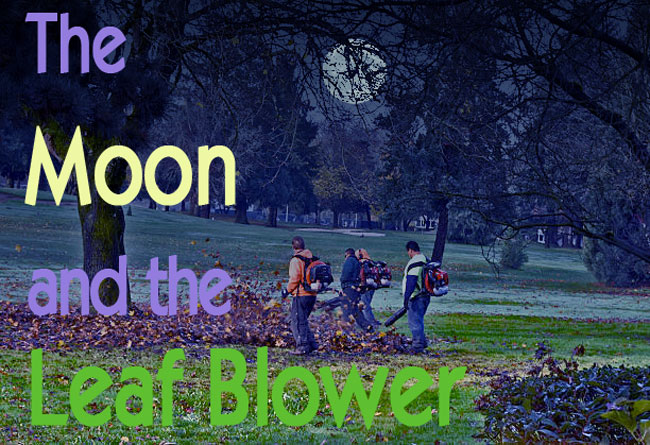Moon&LeafBlower